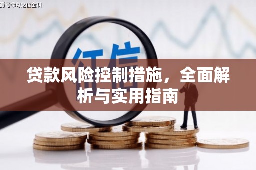 溧水贷款风险控制措施，全面解析与实用指南