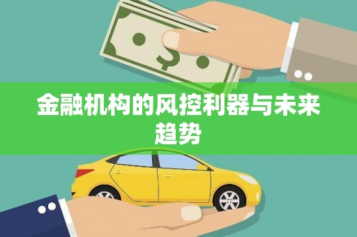 溧水金融机构的风控利器与未来趋势