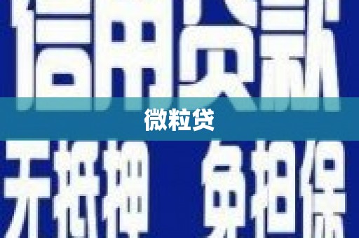 溧水微粒贷
