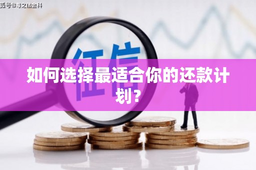 溧水如何选择最适合你的还款计划？