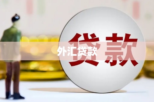 溧水外汇贷款