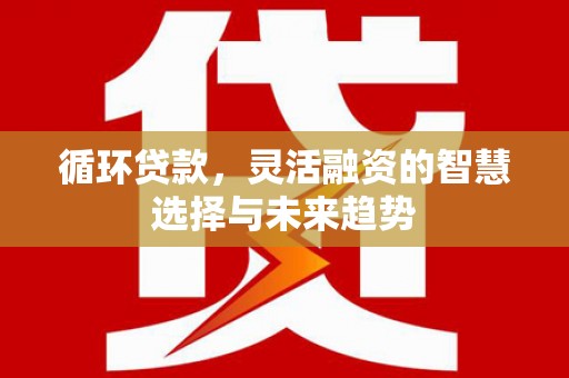 溧水循环贷款，灵活融资的智慧选择与未来趋势