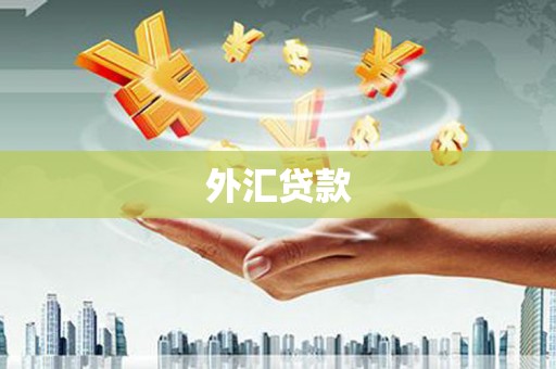 溧水外汇贷款