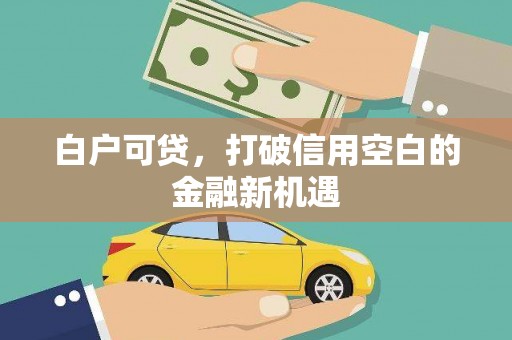 溧水白户可贷，打破信用空白的金融新机遇