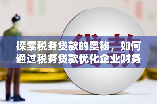 溧水探索税务贷款的奥秘，如何通过税务贷款优化企业财务