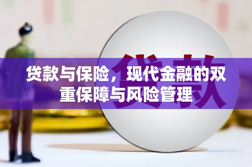 溧水贷款与保险，现代金融的双重保障与风险管理