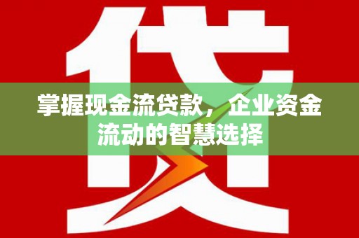 溧水掌握现金流贷款，企业资金流动的智慧选择