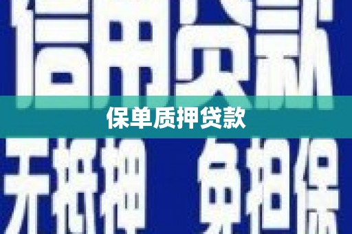溧水保单质押贷款