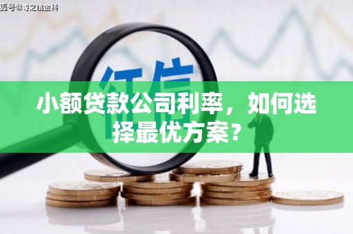 溧水小额贷款公司利率，如何选择最优方案？