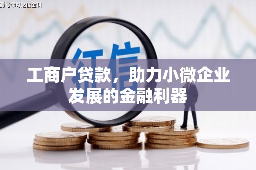 溧水工商户贷款，助力小微企业发展的金融利器