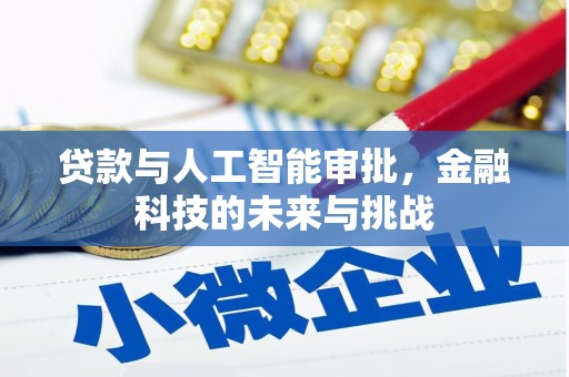 溧水贷款与人工智能审批，金融科技的未来与挑战