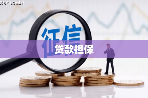 溧水贷款担保