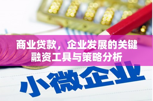 溧水商业贷款，企业发展的关键融资工具与策略分析