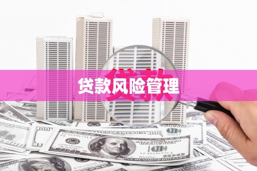 溧水贷款风险管理