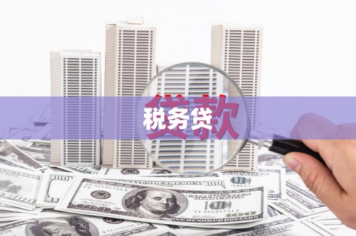 溧水税务贷