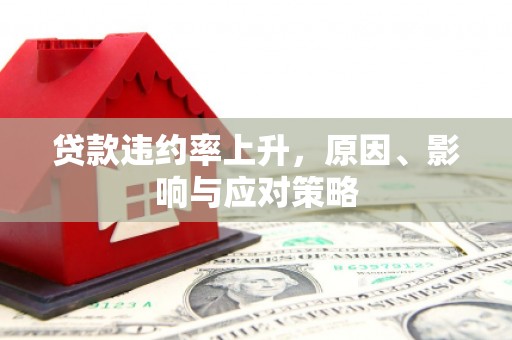 溧水贷款违约率上升，原因、影响与应对策略