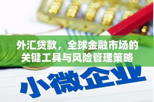 溧水外汇贷款，全球金融市场的关键工具与风险管理策略