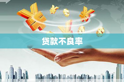 溧水贷款不良率