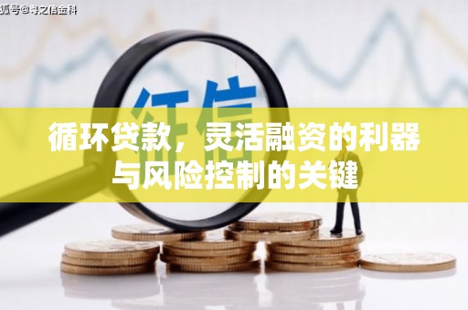 溧水循环贷款，灵活融资的利器与风险控制的关键