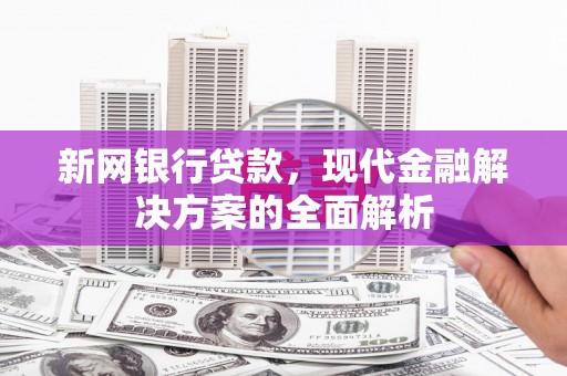 溧水新网银行贷款，现代金融解决方案的全面解析