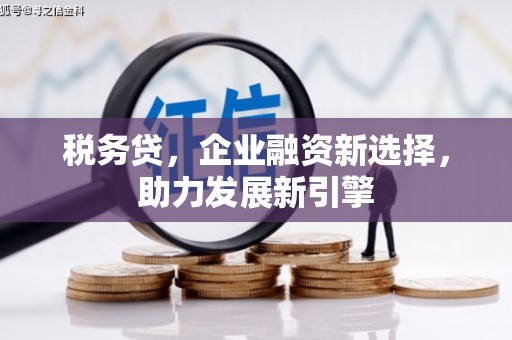 溧水税务贷，企业融资新选择，助力发展新引擎