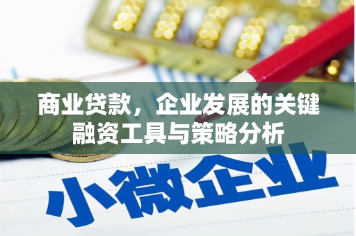 溧水商业贷款，企业发展的关键融资工具与策略分析