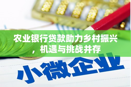 溧水农业银行贷款助力乡村振兴，机遇与挑战并存