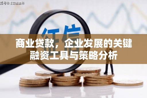 溧水商业贷款，企业发展的关键融资工具与策略分析