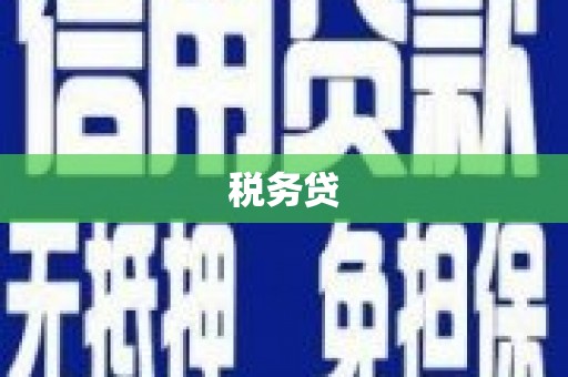 溧水税务贷