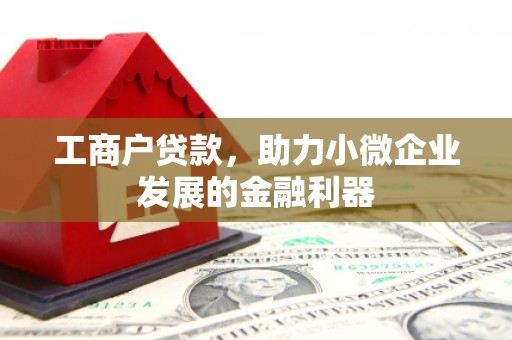 溧水工商户贷款，助力小微企业发展的金融利器