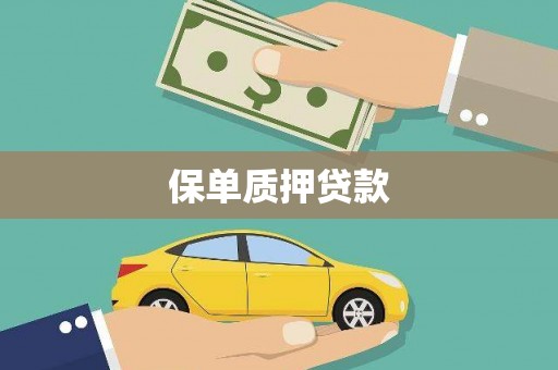 溧水保单质押贷款