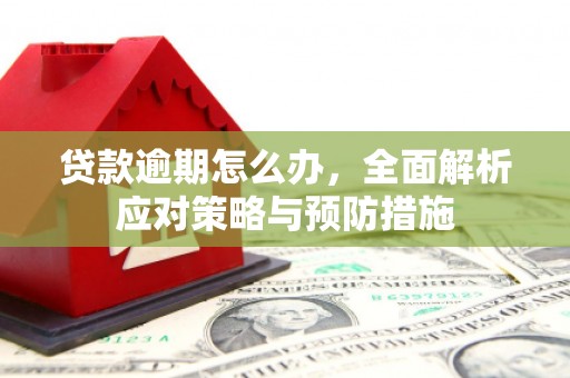 溧水贷款逾期怎么办，全面解析应对策略与预防措施