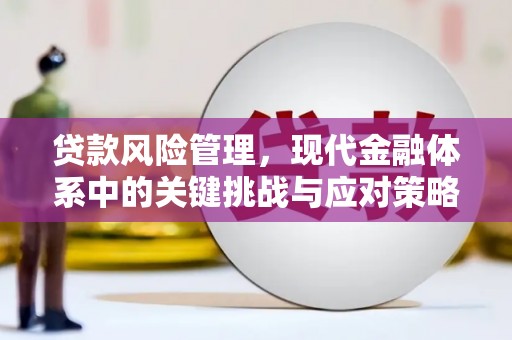 溧水贷款风险管理，现代金融体系中的关键挑战与应对策略