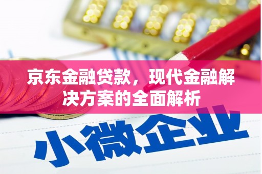 溧水京东金融贷款，现代金融解决方案的全面解析