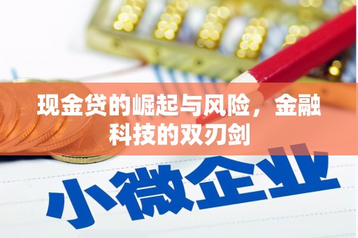 溧水现金贷的崛起与风险，金融科技的双刃剑