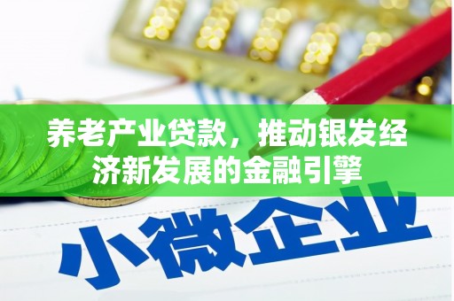 溧水养老产业贷款，推动银发经济新发展的金融引擎
