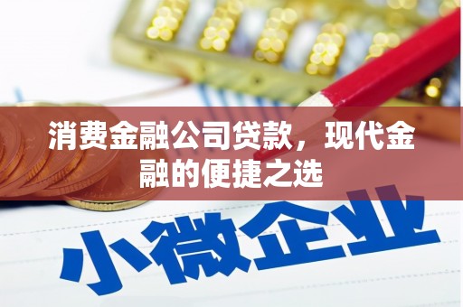 溧水消费金融公司贷款，现代金融的便捷之选