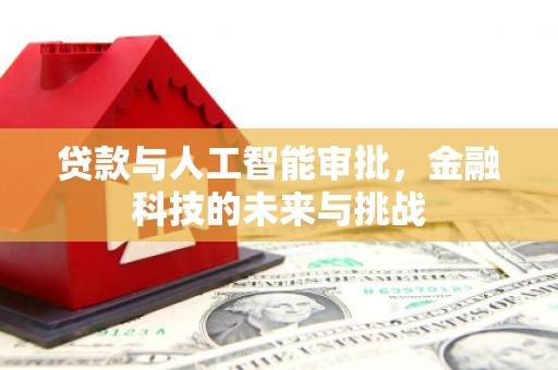 溧水贷款与人工智能审批，金融科技的未来与挑战