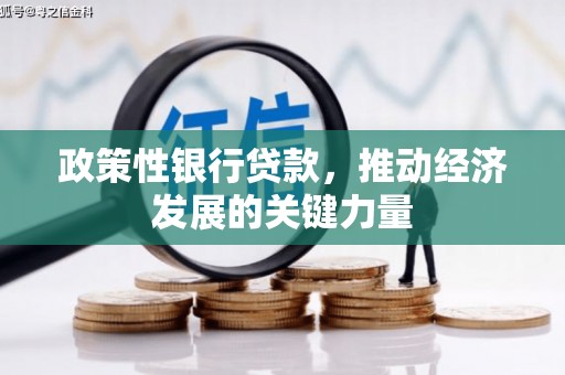 溧水政策性银行贷款，推动经济发展的关键力量