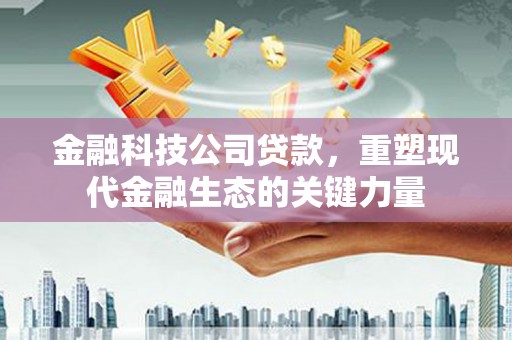 溧水金融科技公司贷款，重塑现代金融生态的关键力量