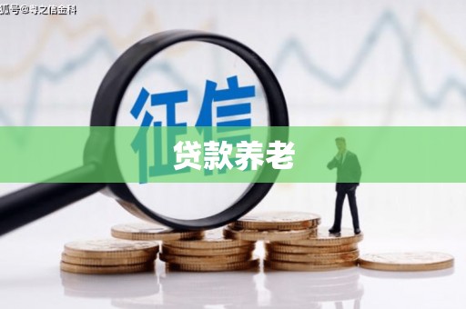 溧水贷款养老