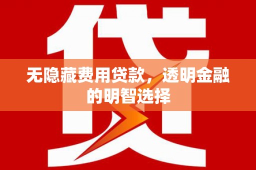 溧水无隐藏费用贷款，透明金融的明智选择