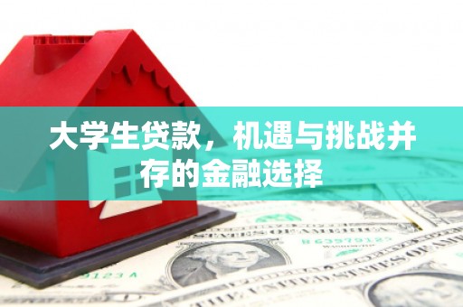 溧水大学生贷款，机遇与挑战并存的金融选择