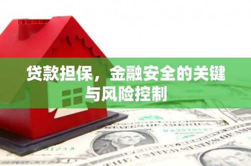 溧水贷款担保，金融安全的关键与风险控制