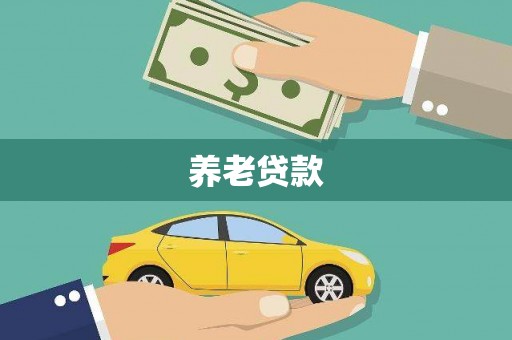 溧水养老贷款
