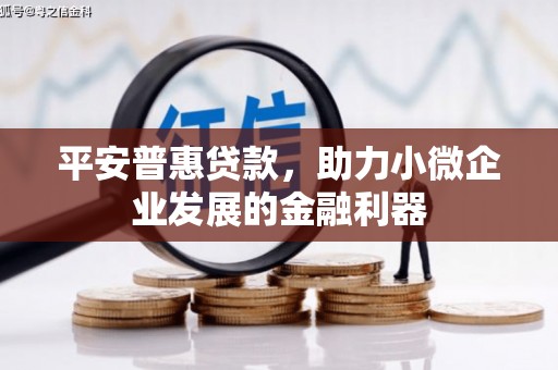 溧水平安普惠贷款，助力小微企业发展的金融利器