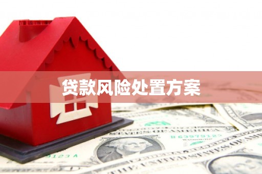 溧水贷款风险处置方案