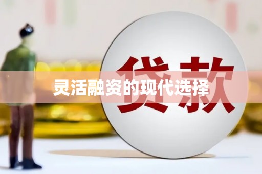 溧水灵活融资的现代选择