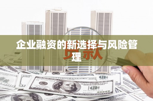 溧水企业融资的新选择与风险管理