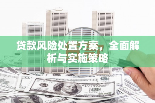 溧水贷款风险处置方案，全面解析与实施策略